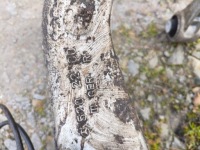 Купить Mercedes w214 e подвеска передние перед 4matic полный левая правое, фото thumb