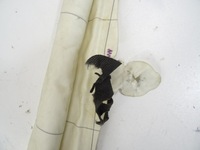 фото thumb №9, Bmw f20 шторка безопасности правая подушка безопасности