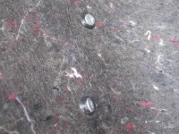 Обшивка багажника skoda octavia iii 5e5 sedan правый Доставка, фото thumb