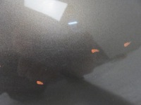 фото thumb №8, Крила правий передній renault scenic iii jz0/1_ tecnb