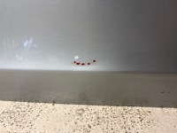 фото thumb №5, Дверь задние правое volvo v60 i s60 ii