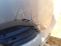 Бампер перед opel astra h iii gtc z176 Недорого, фото thumb