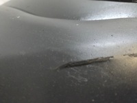 фото thumb №7, Ford transit custom 2016- бампер перед bk21-17k819 код лакокрасочного покрытия 5b