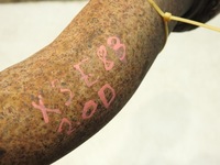 фото thumb №2, Гаситель колебаний труба bmw x3 e83 2.0 d .