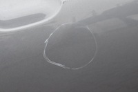 фото thumb №10, Volvo v90 ii дверь правый задняя задние