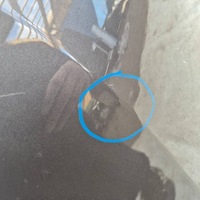 фото thumb №12, Peugeot 208 ii 19- капот крышка двигателя