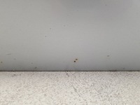 фото thumb №9, Mercedes w169 дверь левая 3d 761