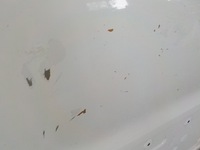 фото thumb №9, Transit mk8 15- двері праве зсувні