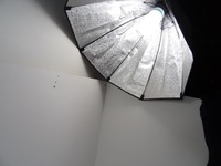 фото thumb №7, Audi a1 ii 82a защита стойка c левая зад 82g867287