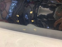 фото thumb №5, Bmw 2 f45 f46 дверь передние перед правое