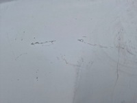 фото thumb №11, Nissan qashqai i 1 j10 +2 przedlift капот крышка двигателя перед