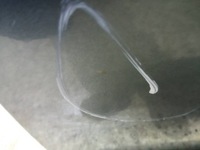 фото thumb №9, Дверь правое перед tekxb renault koleos i 2007-