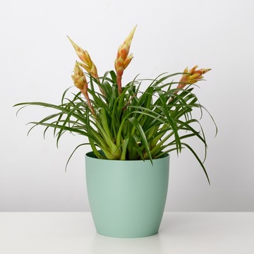 Крышка для цветочного горшка Garronda, 3 шт., 14x14 см GD-DON-DAMAT