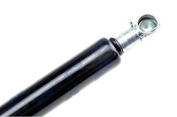 фото thumb №10, Амортизатор телескоп капота bmw 7 e38 94-01 алюмінієва кришка nty