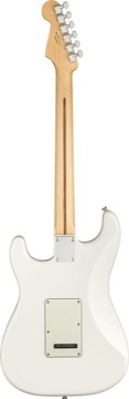Плеер Fender Stratocaster PF PWT