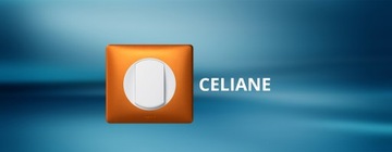 LEGRAND CELIANE БЕЛАЯ РАМА X1 (066631)