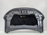 Renault scenic v e tech капот крышка двигателя с Разборки, фото thumb