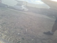 фото thumb №9, Двері праве передні opel insignia a z190