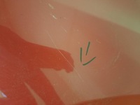 фото thumb №6, Toyota auris 2 ii 12-18 крыло перед правый передний