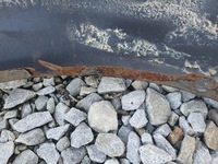 фото thumb №13, Audi a4 b8 крыло правый перед цвет чёрный lz9y s4 v6t