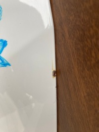 Vw t5-lift капот orygi. Доставка, фото thumb