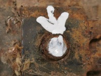 2008 mitsubishi outlander амортизатор передній ze пружина 4060a173 Недорого, фото thumb