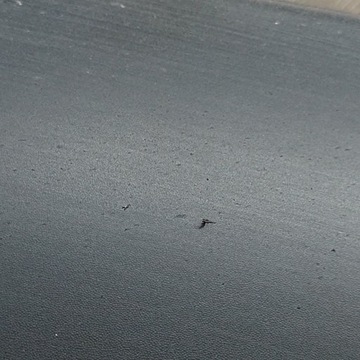 фото thumb №6, Honda cr-v 2021 перед сторона левая планка дверь