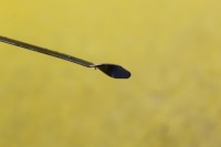 фото thumb №3, Щуп щуп масла hyundai i40 1.6 16v g4fd