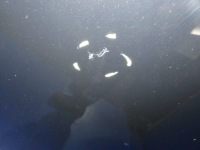 Volvo xc90 2 капот крышка двигателя перед 487-46 с Разборки, фото thumb