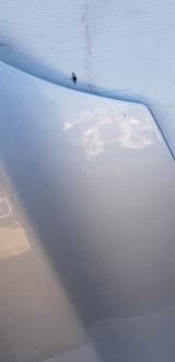 фото thumb №10, Капот opel insignia a z176