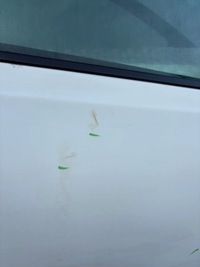 фото thumb №7, Двері праві перед передні nissan qashqai j10 рестайлінг