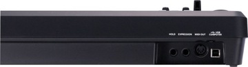 ROLAND A-49 BK MIDI-КЛАВИАТУРА | через 24 часа