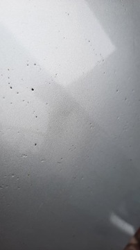 фото thumb №6, Двері зад задні праві nissan primera p12 hb