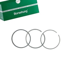 фото thumb №1, Borsehung b19035 набор колец поршня