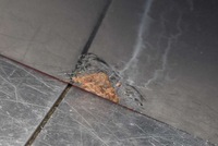 фото thumb №7, Двері ліва задня задні чорні ford galaxy mk2 2 ii 06-15