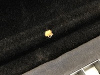 фото thumb №5, Полка задняя seat leon i хэтчбек 99-06