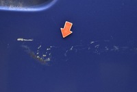 фото thumb №6, Двері праве перед передні chabrowe honda jazz 3 iii 07-11