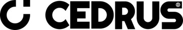 Дизельный гусеничный транспортер Cedrus TR300G