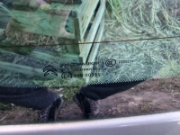 фото thumb №11, Крышка багажника багажника крышка citroen ds5 evgc