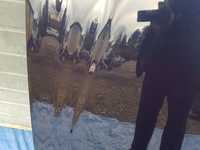 фото thumb №9, Капот mercedes w211 c359 359