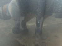 Капот крышка двигателя a8 d3 рестайлинг  2 09r lz7s Доставка, фото thumb