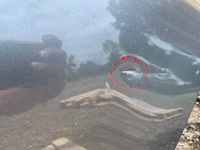 фото thumb №7, Двері ліва задні audi a3 8v4 hb лівий задня