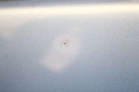 фото thumb №6, Дверь левая перед передние голубой citroen c3 pluriel 1 i 02-10