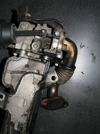 фото thumb №7, Радіатор egr volkswagen audi a3 8p skoda 1.9tdi 038131513ad