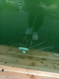 фото thumb №13, Двері праве перед передні citroen c2 3d lqfd