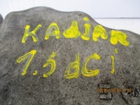 фото thumb №4, Поддон масляная renault kadjar 1.5dci 111101864r