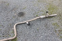 фото thumb №6, Труба вихлопна peugeot 208 ii 1.5 blue hdi