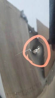 фото thumb №7, Toyota verso 09- капот крышка двигателя