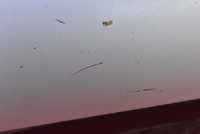 фото thumb №4, Накладка порог правая 354 bmw x1 e84 09-15