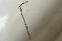 фото thumb №1, Зеркало левая renault koleos i hy_ 025972 2.5l бензиновый 126kw 2012